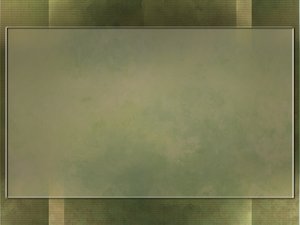 代码审查实施路线图规划